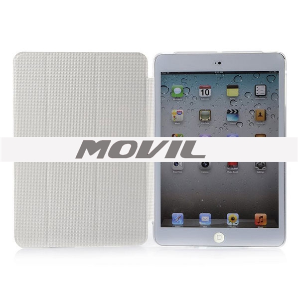 NP-1312 Funda para ipad 2 NP-1312-2g